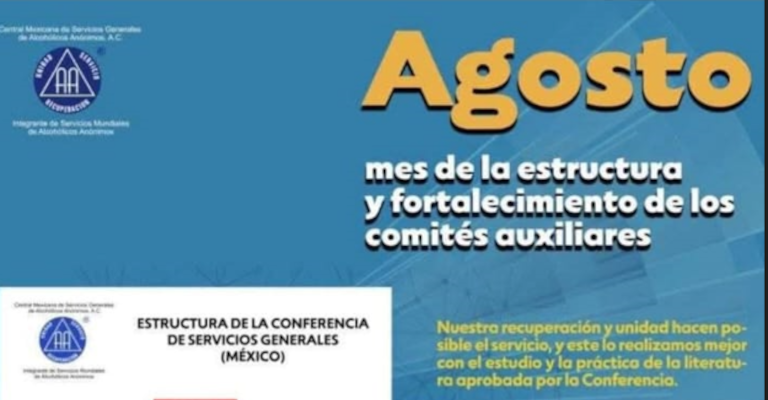 Estructura y fortalecimiento de comités auxiliares