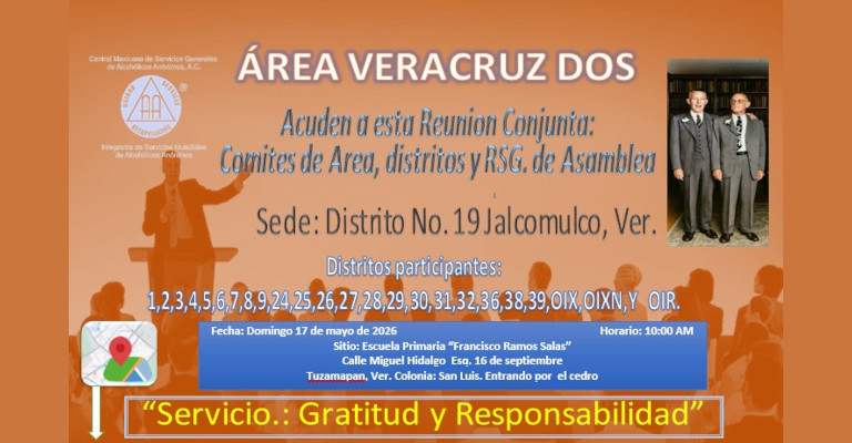 Reunión Conjunta:  Comites de Area, distritos y RSG. de Asamblea  D19