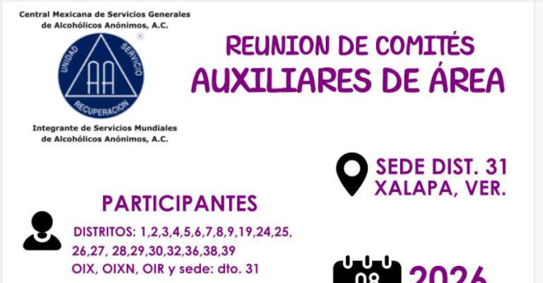 Reunión de Comités Auxiliares de Área - 8 Marzo