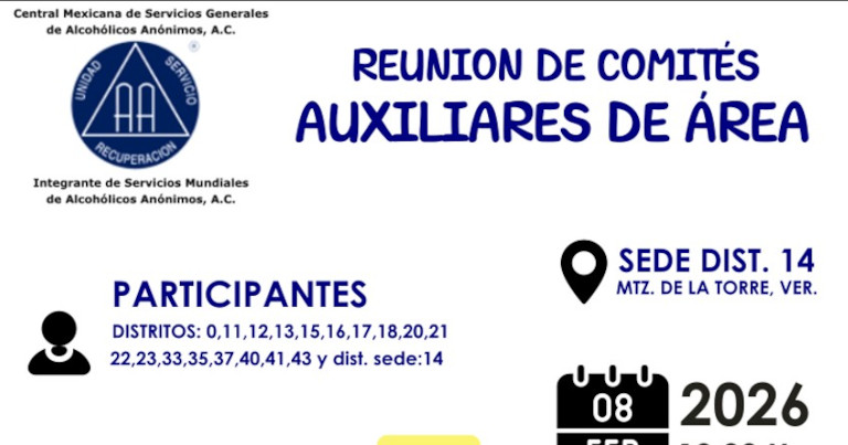 Reunión de Comités Auxiliares de Área